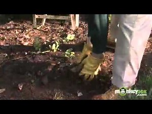 Clearing Garden Debris