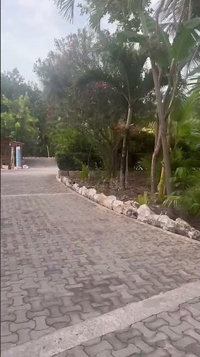This Secret Tropical Resort is Pure Paradise #shortsfeed