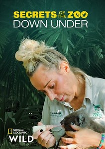 Secrets of the Zoo: Savannah Elephants