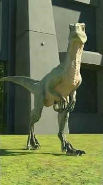 Pyroraptor vs Velociraptor | Jurassic World Evolution 3 Showdown!