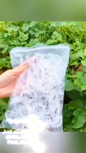 Plant Clip Tool 🌱 | Quick & Easy Way to Support Plants