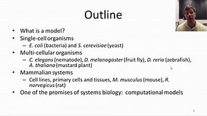 【生科】Lecture2 Biological Model Systems