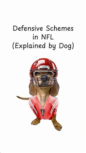 NFL Defensive Schemes (Explained by Puppy) #playoffs #NFL #superbowl