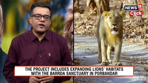A big boost for wildlife conservation! PM Modi to launch ₹2,927 Cr Project Lion in Gujarat’s Gir National Park, aiming to protect and expand the Asiatic lion population Aman Sharma with details. #PMModi #ProjectLion #GirNationalPark #Lion | News18