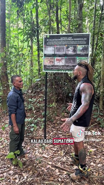 Jejak Harimau Sumatera dan Keanekaragaman Hewan