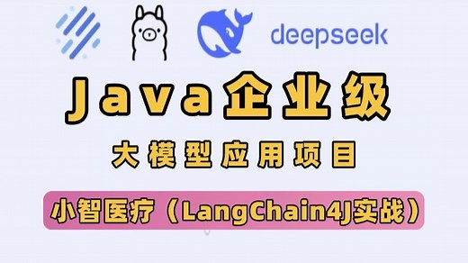 【全案例教学】Java大模型在医疗领域的应用，小智医疗智能问诊系统开发！LangChain4J实战，企业级AI应用指南！