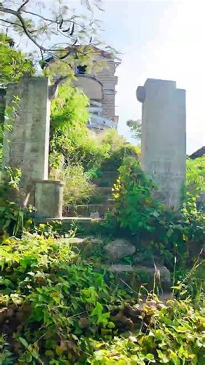 Clean Houses ̣̣(01) #abandonedhousecleaning #satisfying #shortvideo