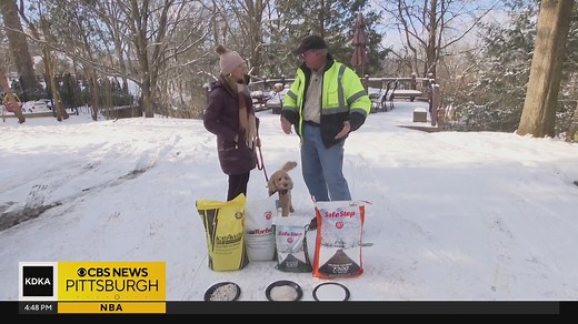 Which salt should you use to melt ice and snow? Expert shares advice