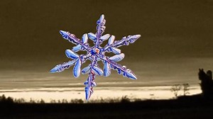 What do snowflakes truly look like? This debate started over 100 years ago when Wilson Bentley and Gustav Hellmann began photographing snowflakes. Today, a new high-speed camera photographs #snowflakes in freefall, providing a look at nature never seen before. And laying to rest this century old debate. | National Science Foundation (NSF)