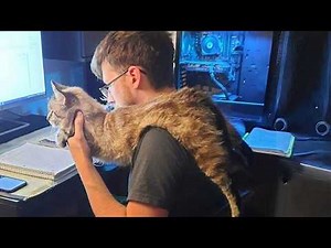 Comedian Cats Like To Imitate Their Humans 😂