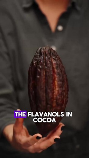 The Benefits of Flavanols in Cocoa for Holistic Health