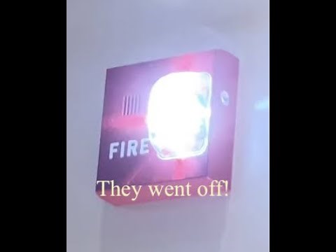 FIRE ALARMS GO OFF AT JFK AIRPORT!