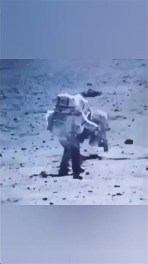 Gravity vs. The Moonwalk: Why Astronauts Kept Tripping