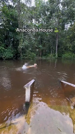 Amazônia.