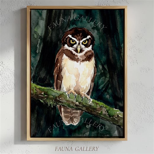 Spectacled Owl Print, Rainforest Wall Art, Watercolor Tropical Bird Poster (digital Download) - Etsy