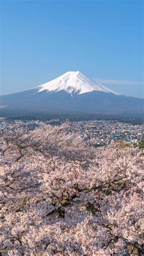 📍 Yamanashi, Japan 🌸🗻 | VLike Travel