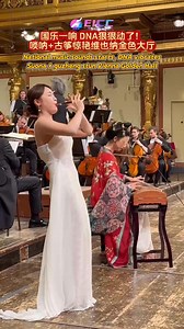 🎶The sound of traditional Chinese music strikes a deep chord! The suona and guzheng deliver a stunning performance at Vienna's Golden Hall. See the elephant #suona #guzheng #China | Hola Fujian
