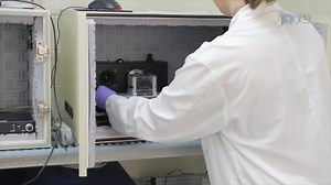 Habituation and Prepulse Inhibition of Acoustic Startle in Rodents