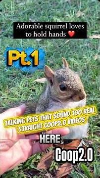 Talking pets that sound TOO real Compilation Pt.1! Coop2.0 Funny Animal Voice-over 2025