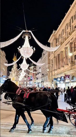 Fiaker on the street, lights above, crowds stopping for photos #christmasinvienna #viennafamily
