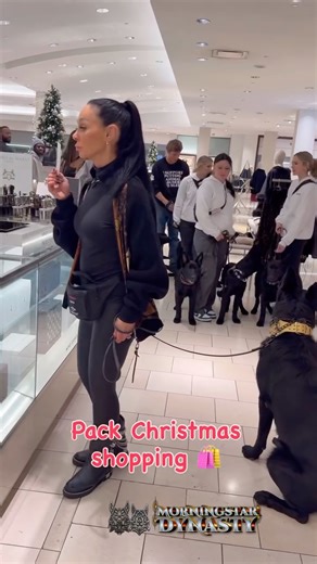 Morningstar Dynasty Pack on Instagram: "Having fun Christmas shopping as a pack 🐺🐾 I don’t take my dogs with me for show. I take them because that’s how they’re trained to live 👑 This is real-world training. Not a backyard. Not a facility. Not a controlled bubble. Crowds teach neutrality. Stores teach impulse control. Noise teaches emotional regulation. Different floors teach confidence and balance. Long durations teach patience. Movement teaches followership. They learn: • to ignore stranger