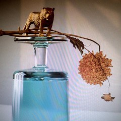 Beirut – Gallipoli (2019) » download by NewAlbumReleases.net