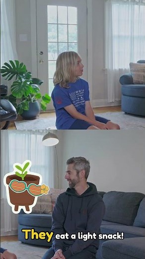 Hilarious Kids Jokes! 🐌🌿 | Quick Laughs with James & Evie