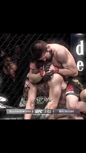 #mma#ufc#combat#khabib