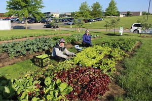 Sunset Community Garden