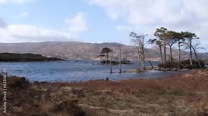 Ancient Lewisian gneiss rock formation landscape of Loch Inver water, golden tussock grasses in the highlands of Scotland UK