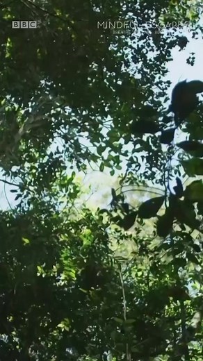 The Earth itself is a living, breathing organism. Inhaling and exhaling. | BBC Earth