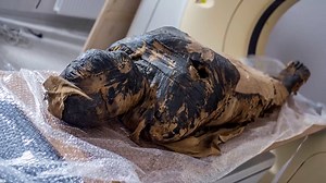 The pregnant Egyptian mummy that shocked researchers