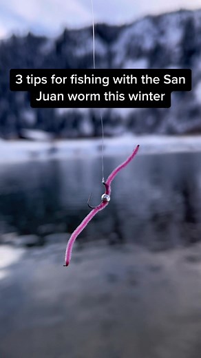 Winter Fly Fishing Tips: Using the San Juan Worm Effectively