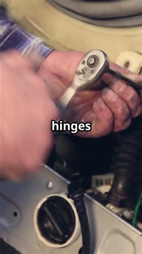 Bushes vs Bearings... What's the Difference? #lifetips101