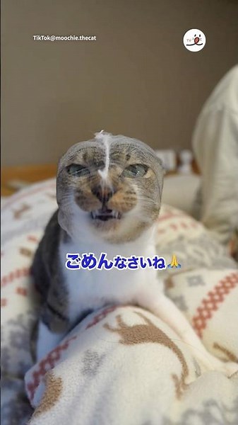 This is what happens when I trim your nails | PECO