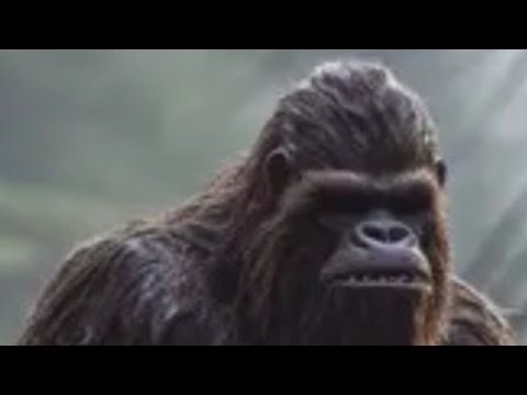 PROOF!!/ Bigfoot IS REAL/There's Audio