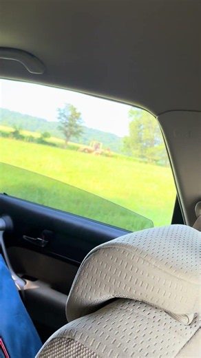 Working down on the new property today. Future homestead!!! #