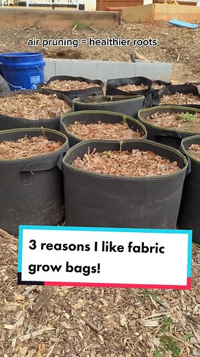 Benefits of Using Grow Bags for Easy Gardening