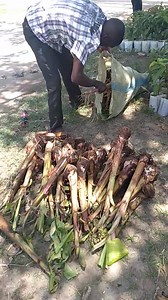 Kilimo Biashara on Reels