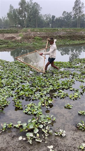 Traditional Boy vs Wild Fish