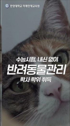 💙한양대학교 미래인재교육원 | 반려동물관리💙