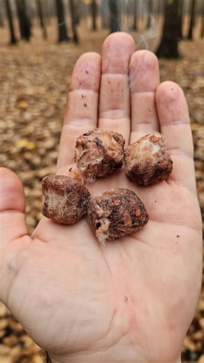 Serkan Çetintaş on Instagram: "Kamp Malzemelerim Arasında En Güvendiğim Parçalardan Biri Kendi Yaptığım Ateş Başlatıcı! 🔥 Basit Malzemelerle Hazırlanıyor Ama Performansı Gerçekten Etkileyici. En Güzel Tarafı Ne Biliyor Musunuz? En Zorlu Koşullarda, Karda, Yağmurda, Çamurda… Hiçbir Zorluk Yaşamadan… Çok Güçlü Ve Çok Dayanıklı Bir Şekilde Yanıyor! 💪🔥 Doğada Hayatta Kalma, Kamp Ve Macerayı Seven Herkesin Mutlaka Denemesi Gereken Pratik Ve Güçlü Bir Yöntem. 👍 English 🇬🇧 One Of The Most Reliabl