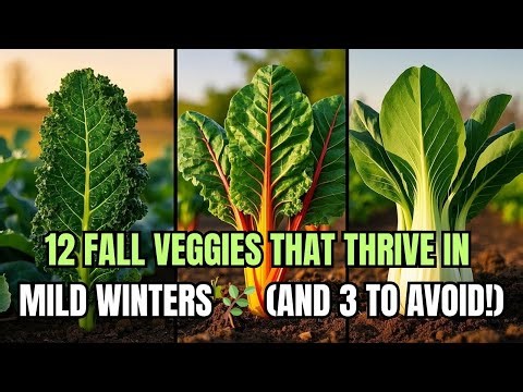 12 EASIEST FALL VEGGIES for Mild Winters (and 3 to Skip!)