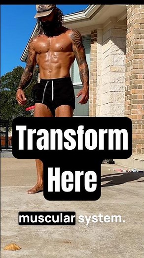 Rewire the Body (1 Min. Per Day)