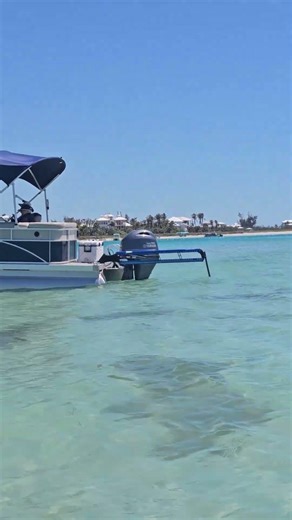 You Can Stand Here in Florida?! 🌊