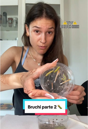 Bruchi e Farfalle: La Magia della Trasformazione