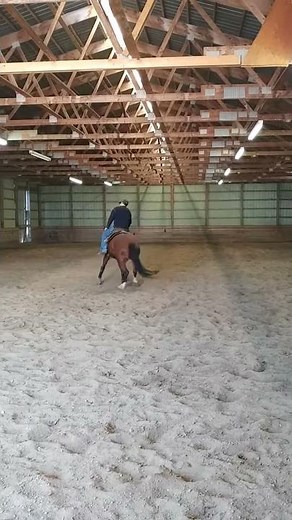 Jacs Chocolate Gal Spin