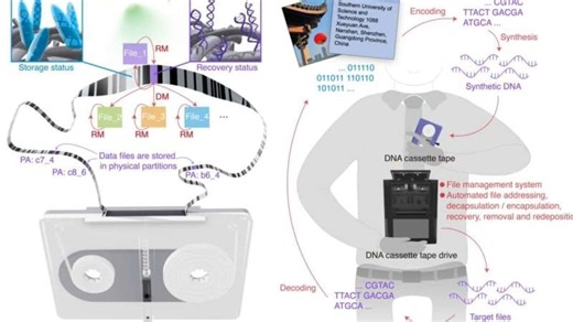 DNA Cassette Tapes Could Transform the Future of Digital Storage