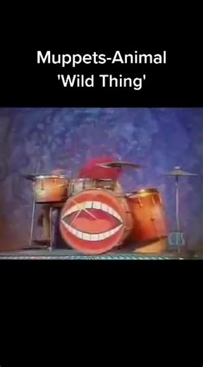 The Muppets-Animal Funny T-Shirt from Muppet Show