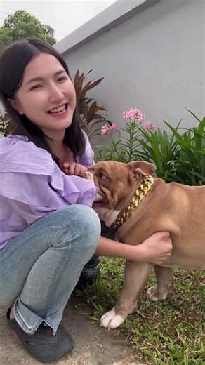 รีบปล่อยซักที่แม่😂 #อเมริกันบูลลี่ #americanbully #ทาสหมา #ไฮไลท์ #dogs #รักหมา #reels #reelsfacebo